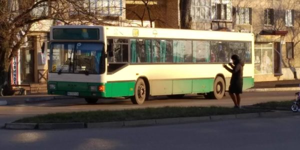 На период карантина в Александрии в очередной раз изменили график движения автобусов