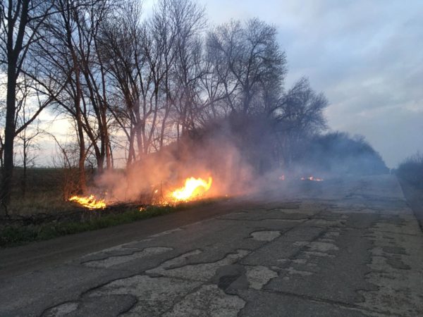 В области запретили разводить костер в лесах и на обочинах дорог до 30 октября