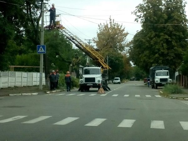 На облэнерго составили админпротокол и обязали убрать кучи веток