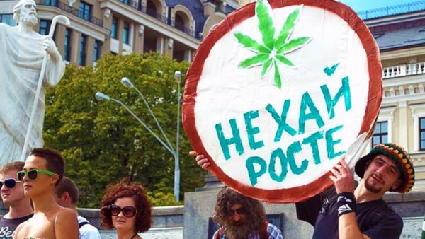 Украинцы проголосовали за легализацию каннабиса в медицинских целях