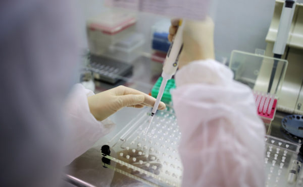 Где и как можно сдать дешево тест на коронавирус в Александрии
