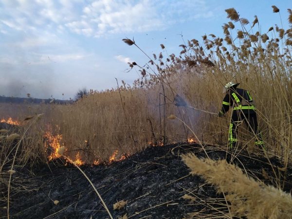 Александрийские спасатели потушили возгорание 300 квадратных метров сухой растительности (ФОТО)