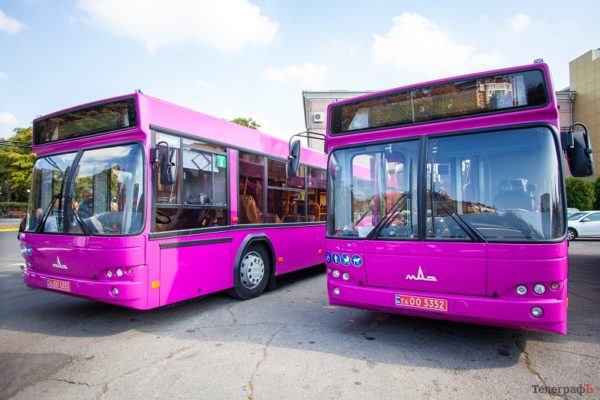 Исполком поддержал решение о создании в Александрии коммунального автобусного транспорта
