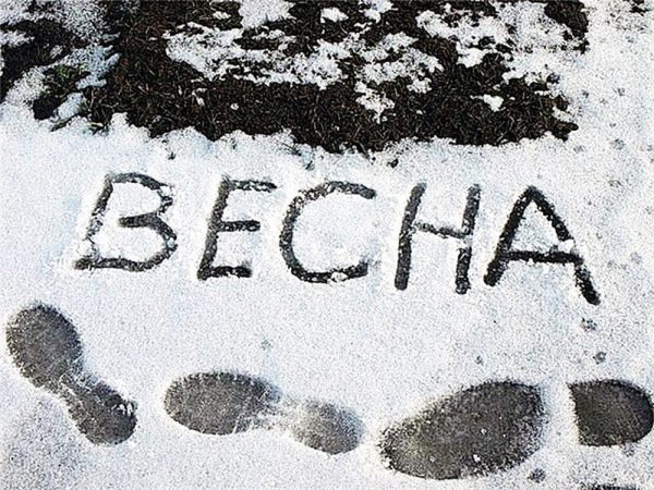 В ближайшие дни на территории Кировоградской области прогнозируют снег