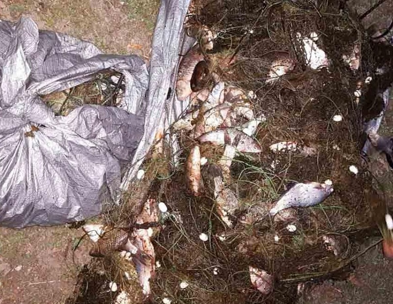 Александрийские полицейские задержали рыбаков, которые незаконно выловили рыбу на 37 тысяч гривен (ФОТО)