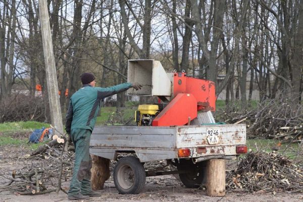 Александрийский парк возле автовокзала начали благоустраивать (ФОТО)