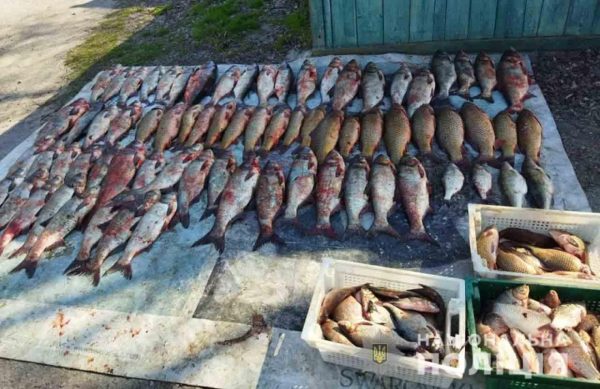 Александрийские полицейские задержали рыбака, который незаконно выловил 36 кг рыбы (ФОТО)