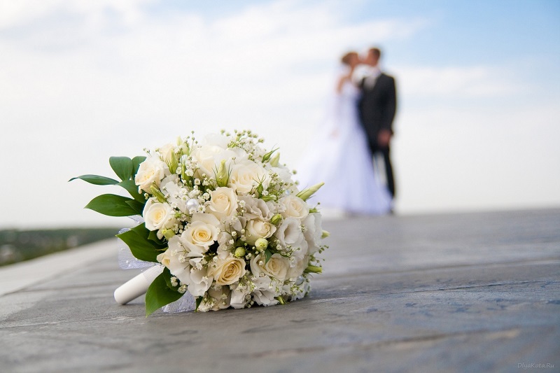 За три месяца этого года в Александрии и районе зарегистрировали 109 браков. Самой юной паре 17 и 24 года
