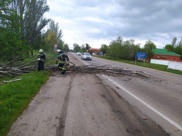 В Александрии коммунальщики и спасатели ликвидируют последствия непогоды (ФОТО)