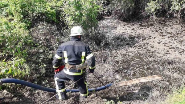 В Александрии сточными водами затопило двор частного дома