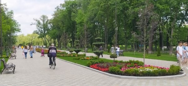 Городской голова Александрии показал, как меняется парк Шевченко (ВИДЕО)
