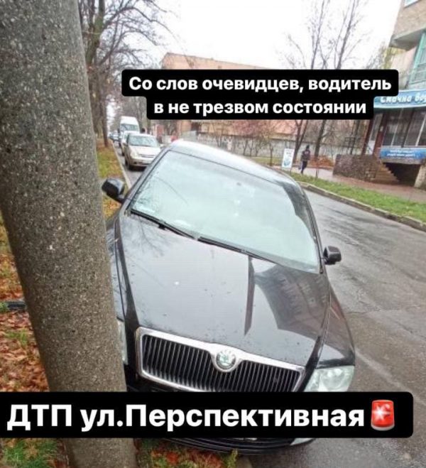 В Александрии пьяный водитель на Skoda врезался в столб