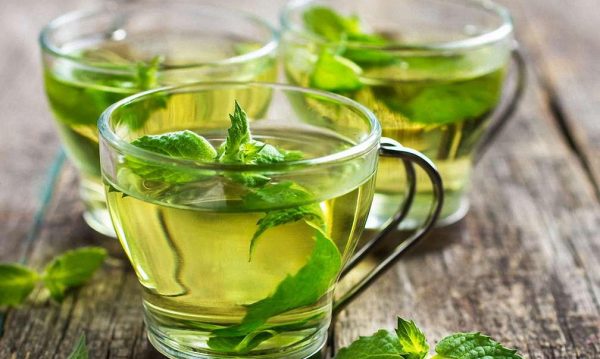 Лучшие и популярные сорта зеленого чая