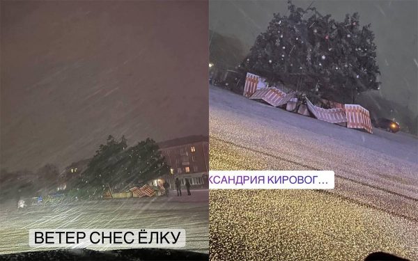 В Александрии из-за сильного ветра упала главная городская елка