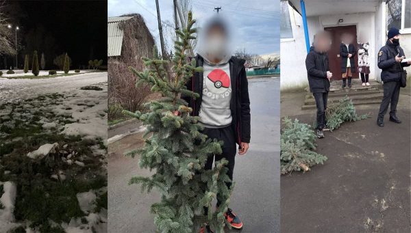 В парке имени Шевченко двое парней украли елки (ФОТО/ВИДЕО)
