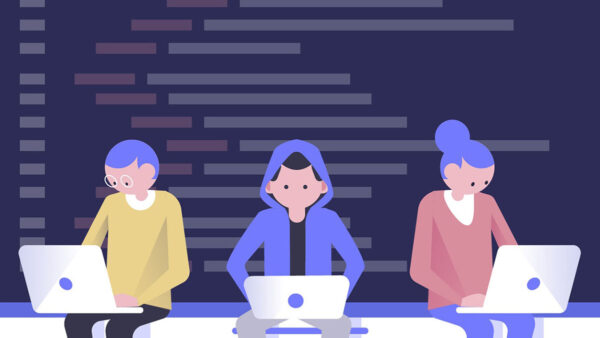 Outsourcing Vulnerability Assessments: The Emergence of VAAS