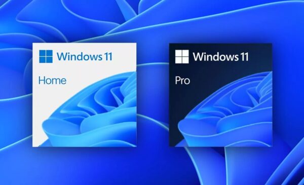 Сравнение редакций Windows 11: Home, Pro и Enterprise - что купить
